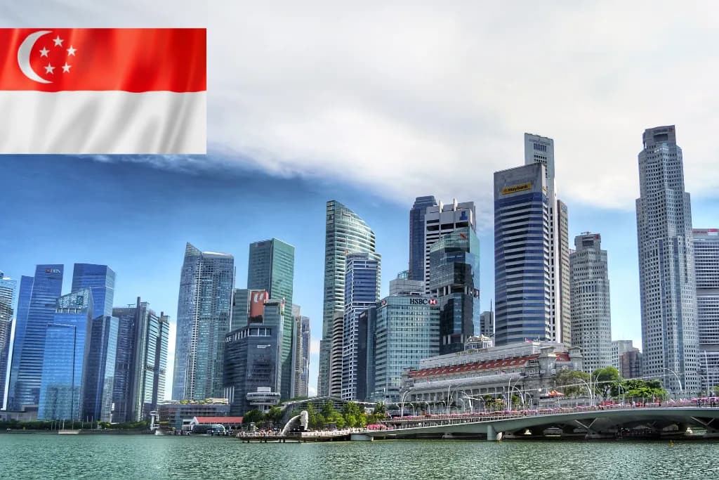 Singapore market entry by InvestinAsia