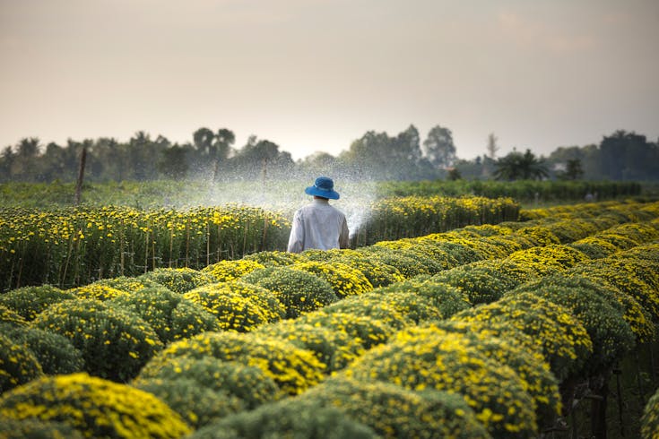 Top Foreign Investment Sectors in Indonesia