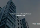 Holding Company vs Operating Company Structure in Asia
