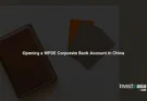 WFOE bank account