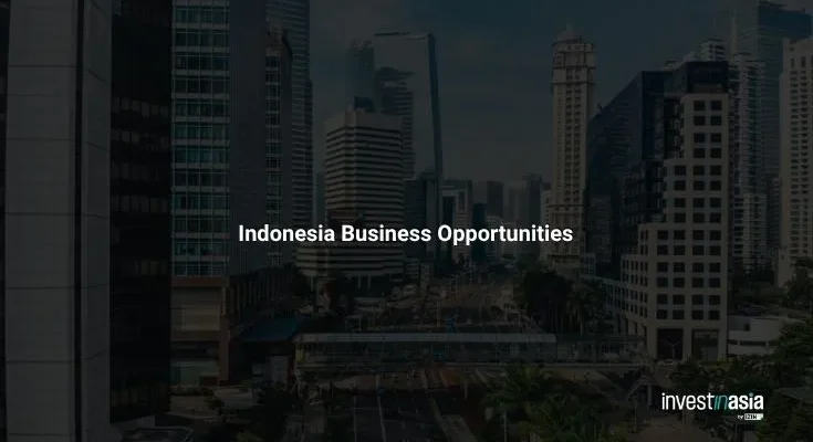 Indonesia Business Opportunities